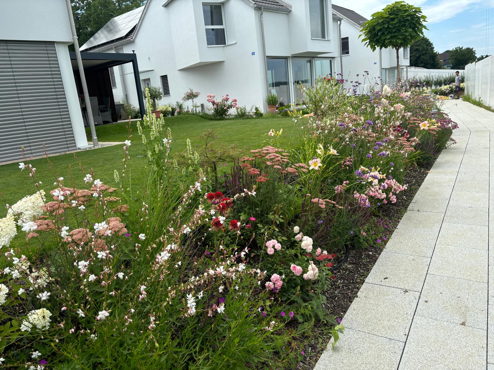 Blühendes Staudenbeet von Lukas Wolfensberger — Garten Glück Schaffhausen
