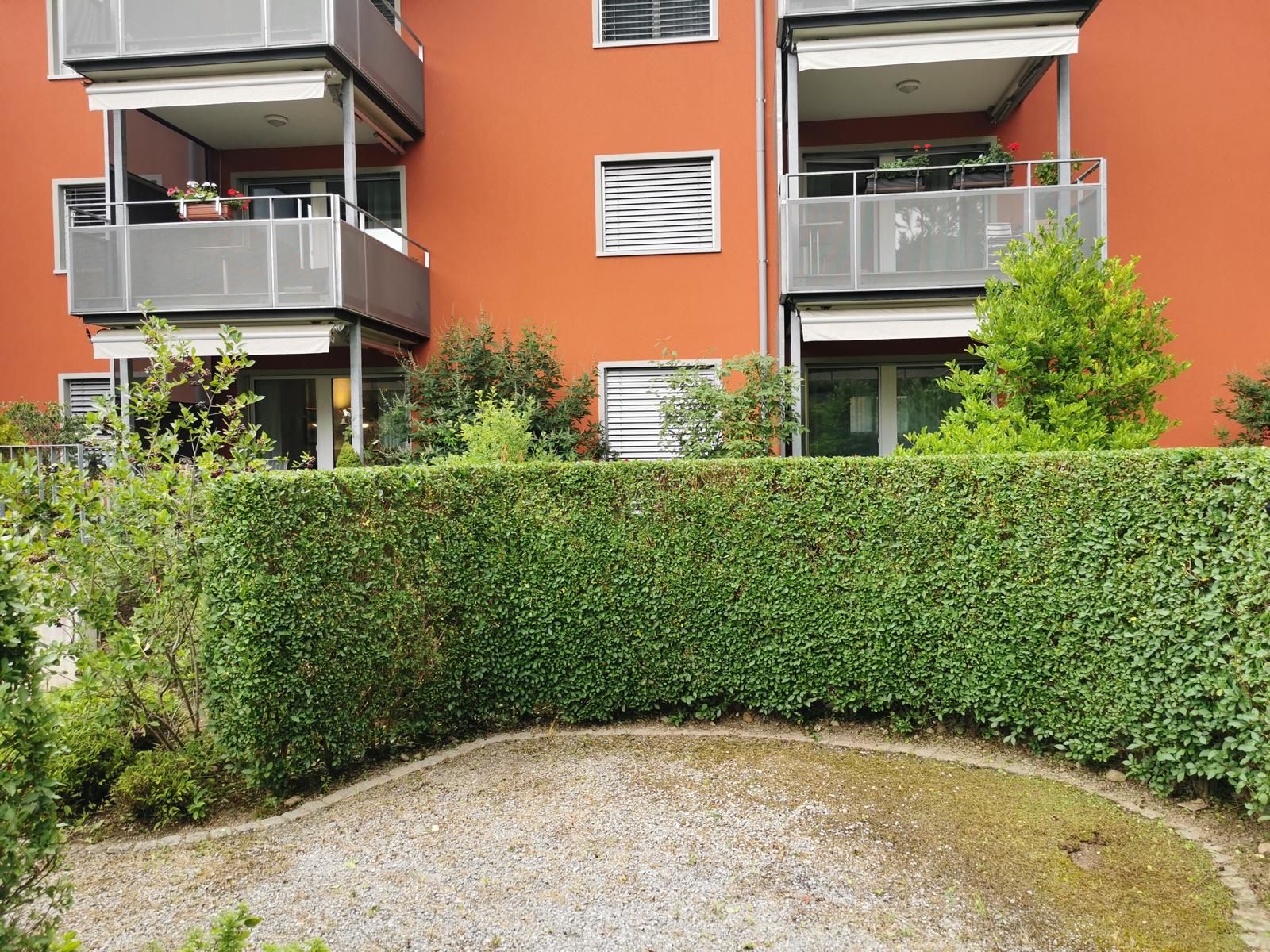 Perfekt geschnittene Hecke