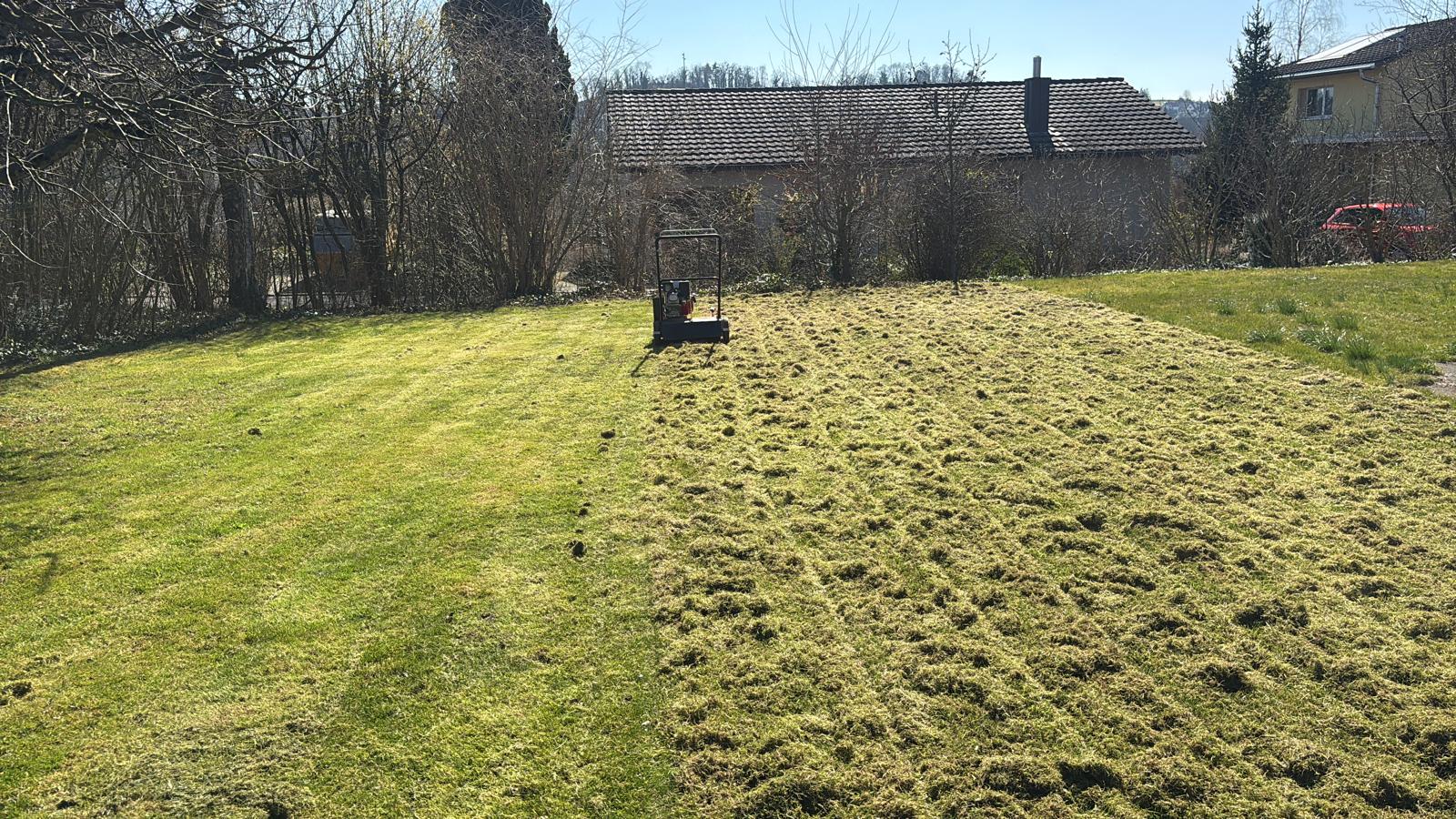 Rasen vor dem Vertikutieren