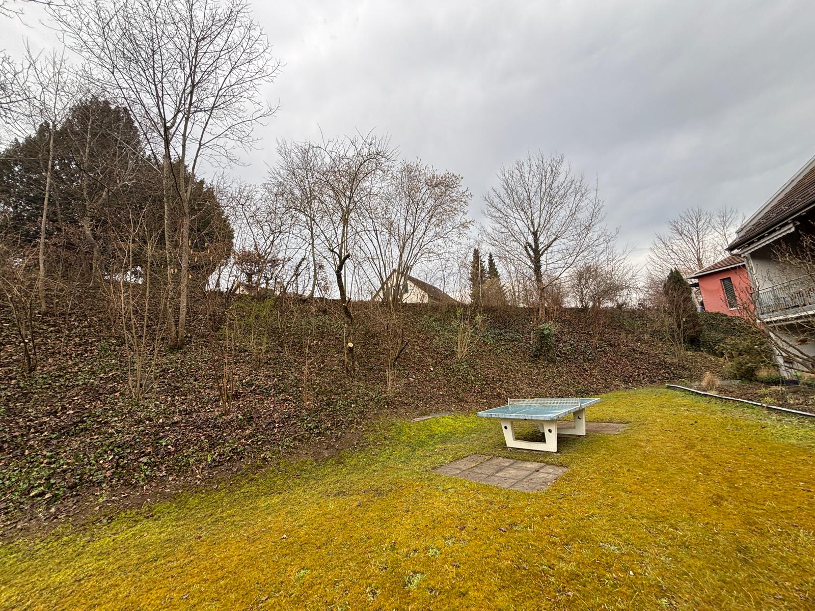 Bereinigte Böschung nach Rodung